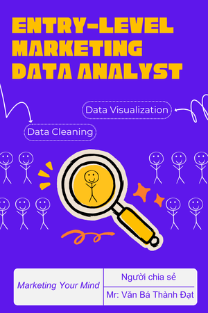 Data Analyst