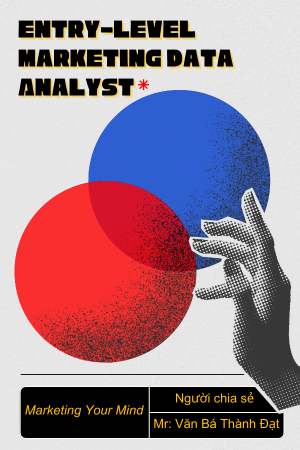 Entry-level Marketing Analyst