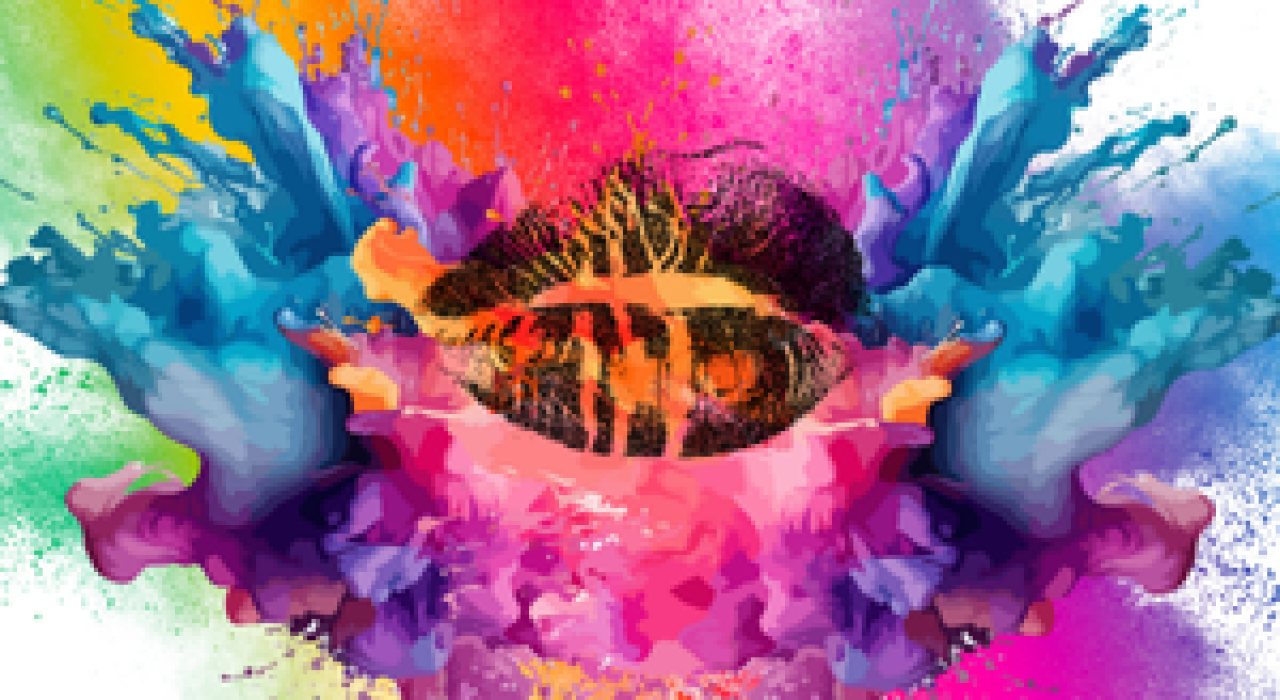 khoá học Web Designer